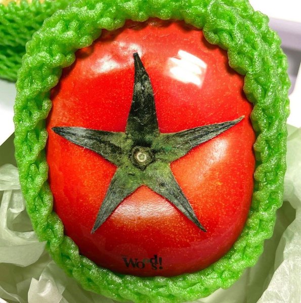 Thumbnail of p-c5ngzcpqblj-180e825d6f4c404f 6