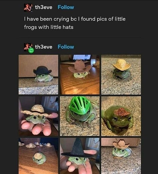 Thumbnail of cc-3sg8lbux-18c3316dfc674aff 0