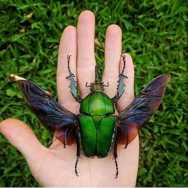 Thumbnail of p-b65w2zzhhun-18d8e1d8416347c4 0