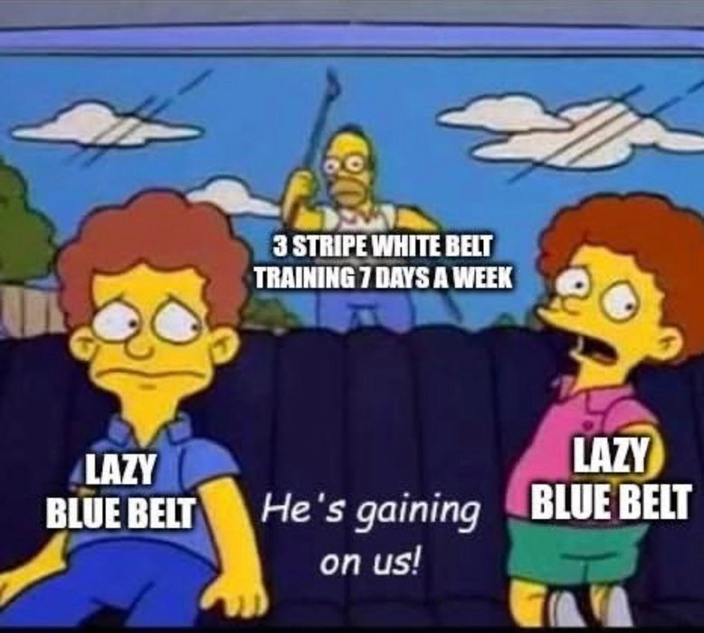 Thumbnail of www-x-com-jiujitsuotter-status-1930303283907965345-18e08e8336564d72