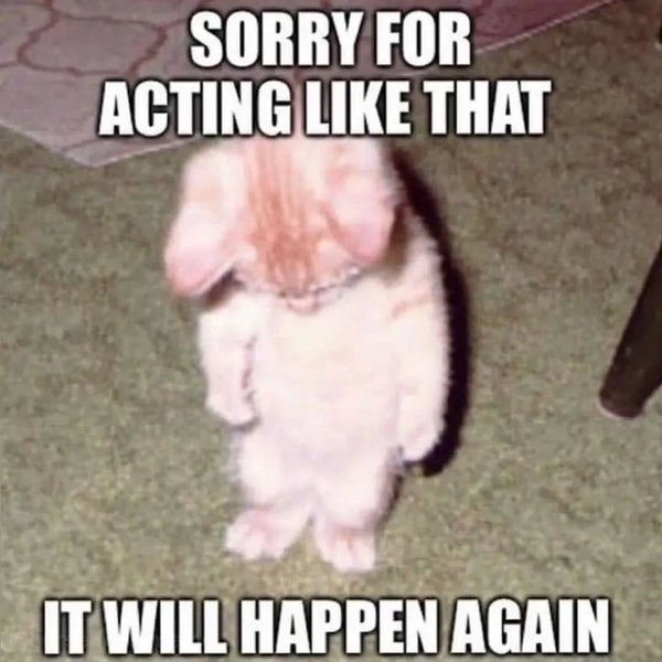 Thumbnail of p-ccdr4tnqvrb-1909eaf452404541 0