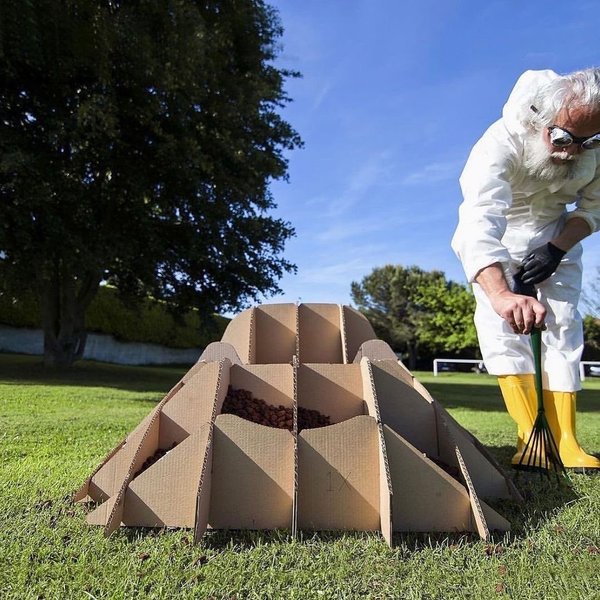 Thumbnail of p-cnyqgygunf2-191220c4d7634bdd 2