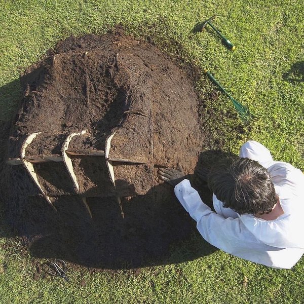 Thumbnail of p-cnyqgygunf2-191220c4d7634bdd 4