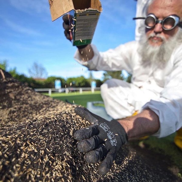 Thumbnail of p-cnyqgygunf2-191220c4d7634bdd 5