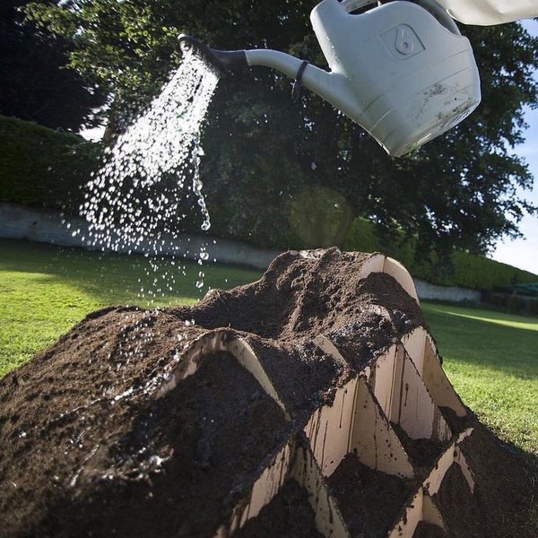 Thumbnail of p-cnyqgygunf2-191220c4d7634bdd 6