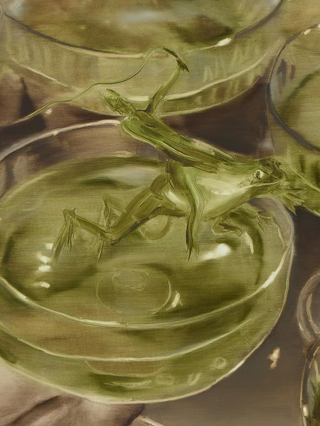 Thumbnail of dpwzq1-dnyo-191fca9d124441d8 0