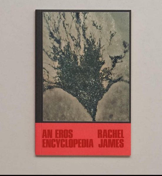 Thumbnail of p-cle0iyuveed-193bdb1597504a92 2