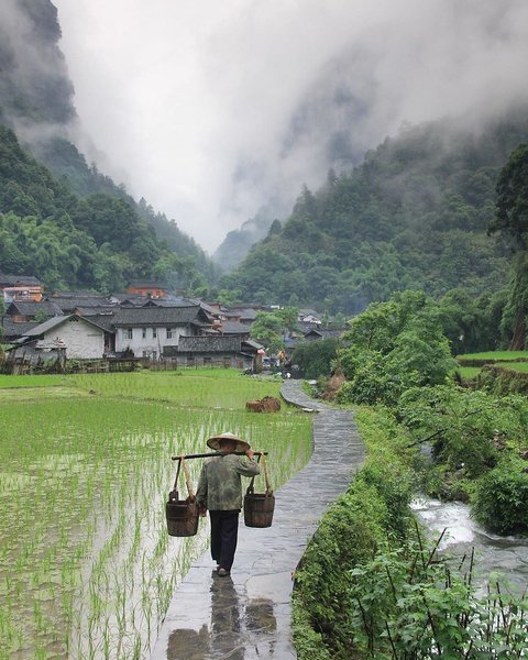 Thumbnail of cshn-8wotpx-1943715ae99c4d85 0