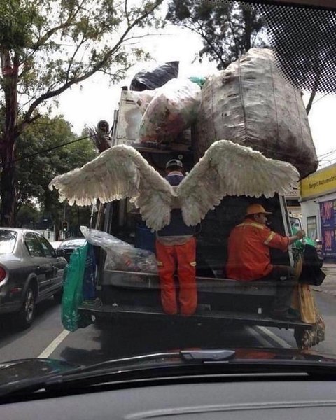 Thumbnail of cshn-8wotpx-1943715ae99c4d85 6