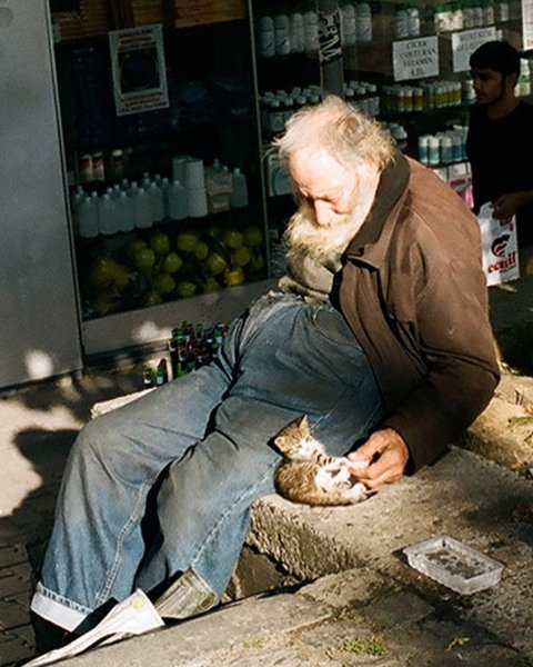 Thumbnail of cshn-8wotpx-1943715ae99c4d85 8