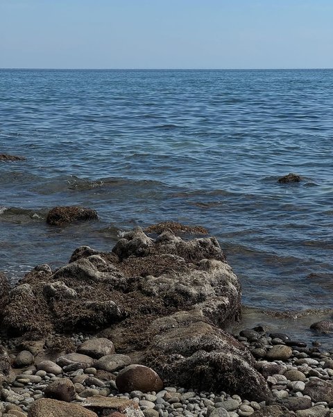 Thumbnail of www-instagram-com-p-dipo0i0sg9t-img-index-8 2