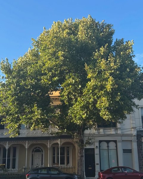 Thumbnail of www-instagram-com-p-dipo0i0sg9t-img-index-8 9