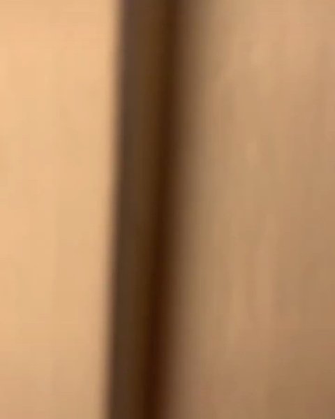 Thumbnail of p-bxehh72j5gp-1972140953254241 9