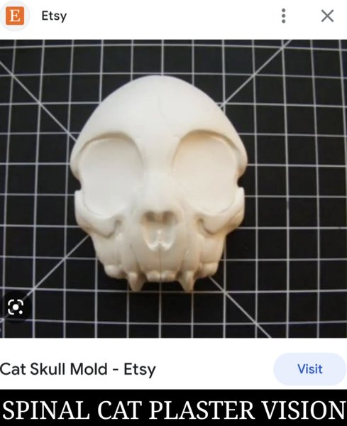 Thumbnail of p-cl2yjiwovav-197a24cae8de44b5 0