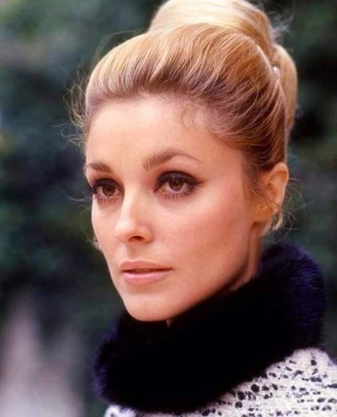 Thumbnail of p-cghdlymoweh-197d67c226954dc7 4