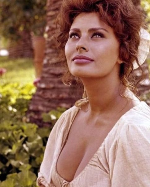 Thumbnail of p-cghdlymoweh-197d67c226954dc7 6