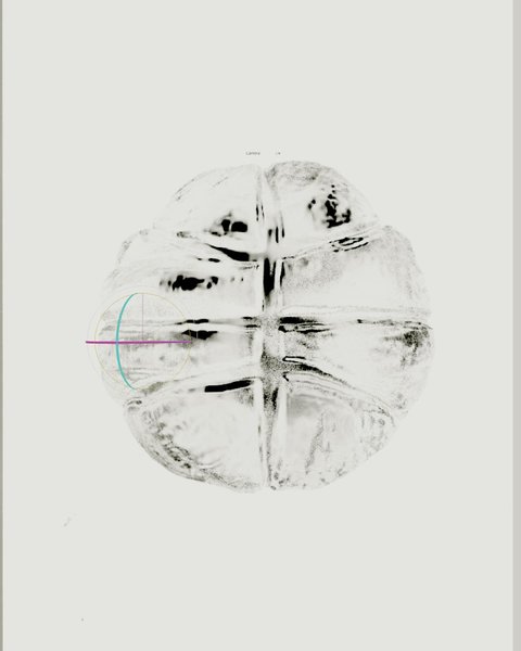 Thumbnail of p-dlap7xbkkbt-19e031e1cd3c4739 0