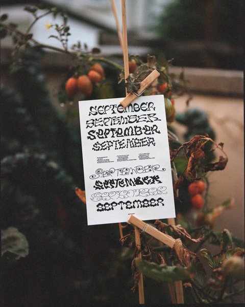 Thumbnail of p-cl1bxjgtl70-1a2eae2679894f3c 1