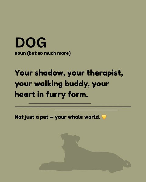 Thumbnail of p-dmm1aqytnec-1a3f6010bb7d435c 0