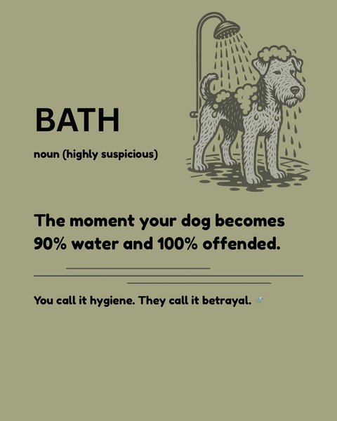 Thumbnail of p-dmm1aqytnec-1a3f6010bb7d435c 2