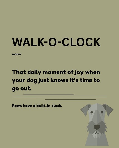 Thumbnail of p-dmm1aqytnec-1a3f6010bb7d435c 3