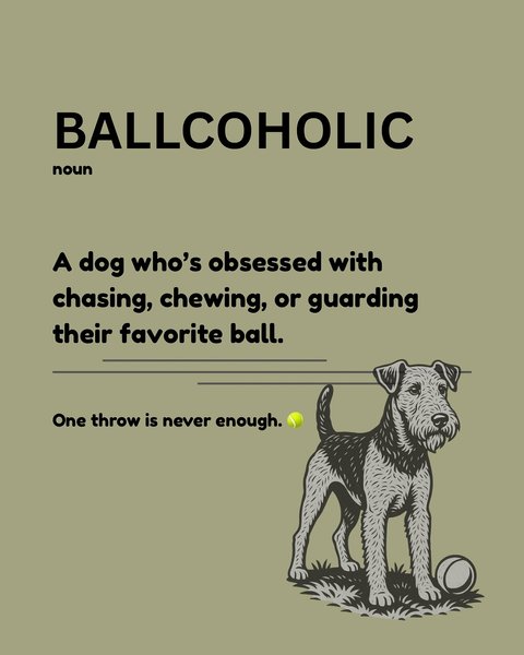 Thumbnail of p-dmm1aqytnec-1a3f6010bb7d435c 4