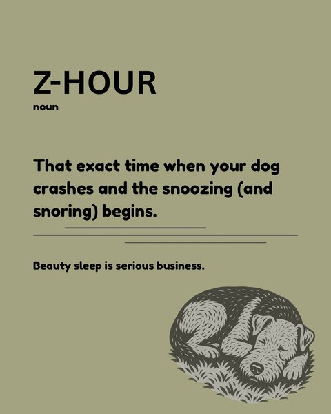 Thumbnail of p-dmm1aqytnec-1a3f6010bb7d435c 5