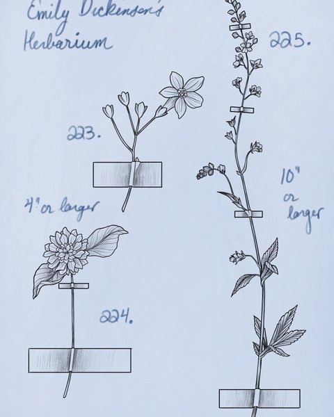 Thumbnail of p-cka10t7ro-1acb766be3054628 7
