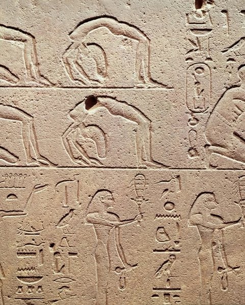 Thumbnail of p-dkifkptnrif-1ad8851f543b429e 2