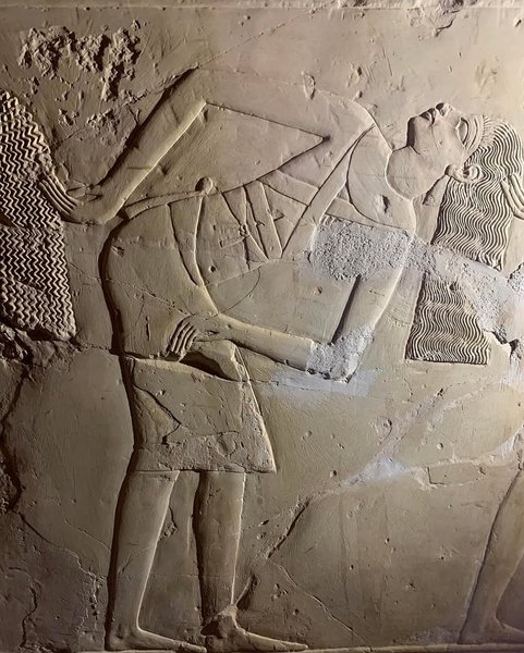 Thumbnail of p-dkifkptnrif-1ad8851f543b429e 3