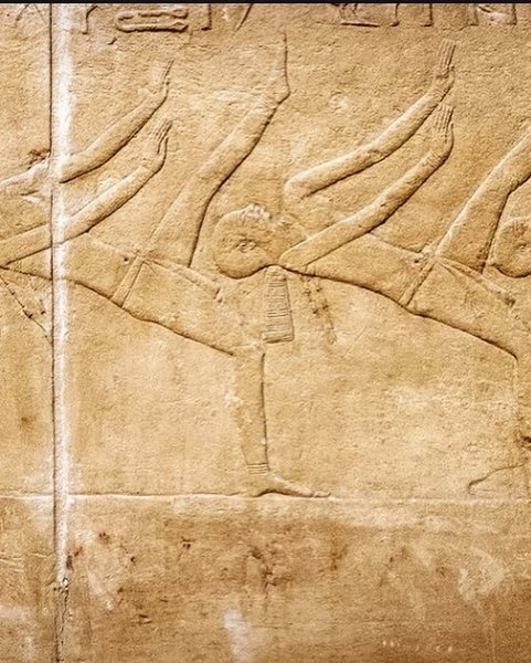 Thumbnail of p-dkifkptnrif-1ad8851f543b429e 5