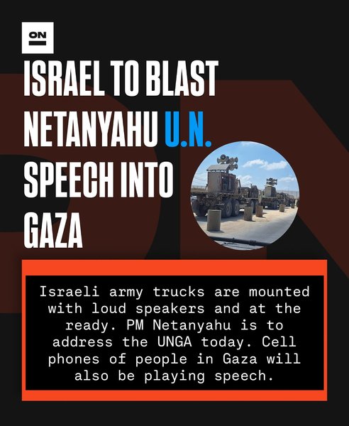 Thumbnail of p-dpeljzpdti3-1b64254c01d94b1b 0