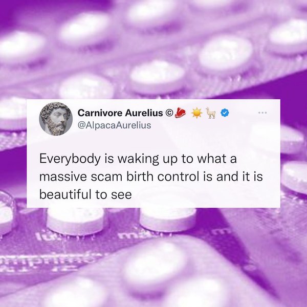 Thumbnail of p-cnx2pauodzj-1b6dfee80f564923 0