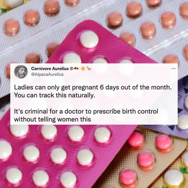 Thumbnail of p-cnx2pauodzj-1b6dfee80f564923 3