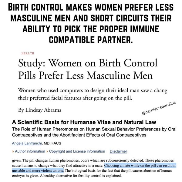 Thumbnail of p-cnx2pauodzj-1b6dfee80f564923 4