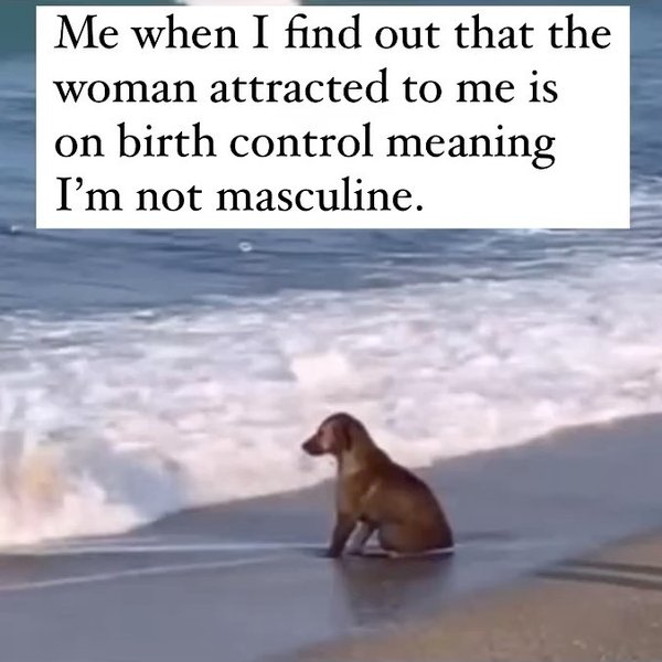 Thumbnail of p-cnx2pauodzj-1b6dfee80f564923 5