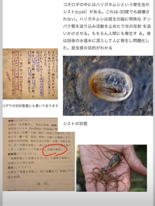 Thumbnail of www-x-com-pandapic1220-status-1627211135559811072-1bbf58a0e57642ef