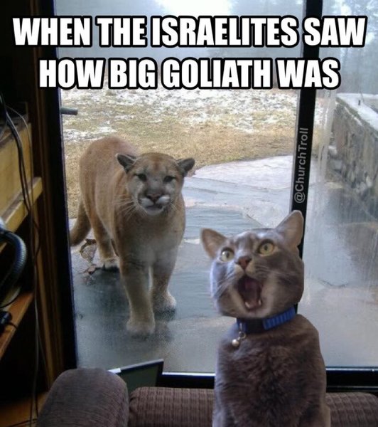 Thumbnail of p-bjqvmhpgj1d-1bc6144515bc4c3d 0