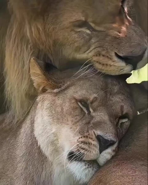 Thumbnail of c-hhbctqej-1be037c3ac07478e 0