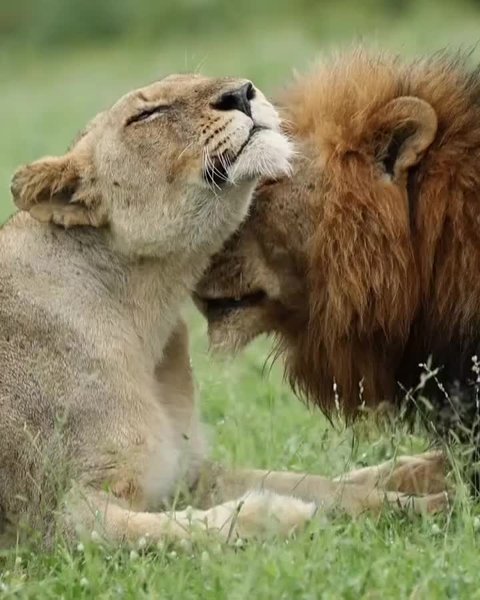 Thumbnail of c-hhbctqej-1be037c3ac07478e 1