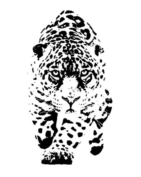 Thumbnail of p-dm3bcztrkuo-1bee91fb1f9244c3 6