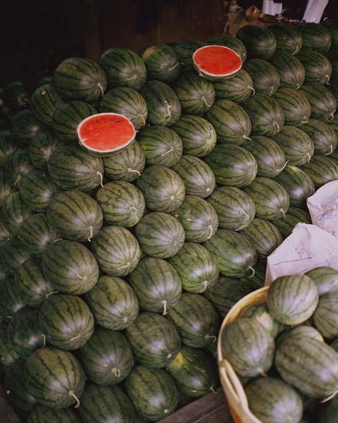 Thumbnail of p-b7vq5xvgc92-1c1af7db91d14482 1