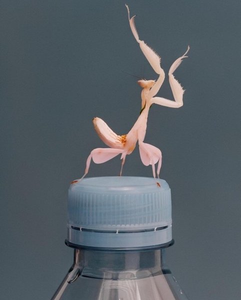 Thumbnail of p-b7vq5xvgc92-1c1af7db91d14482 5