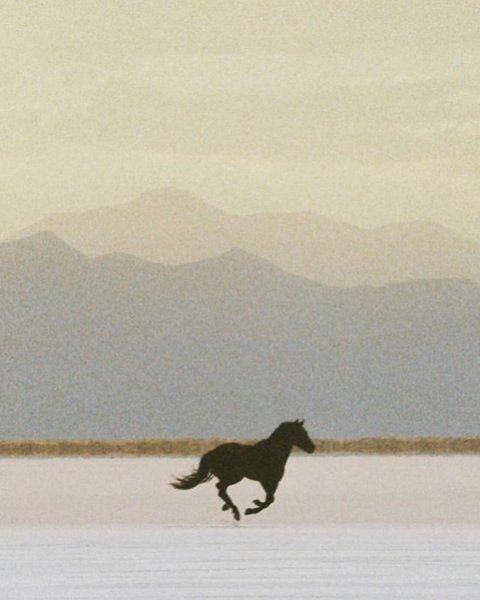 Thumbnail of p-b7vq5xvgc92-1c1af7db91d14482 7