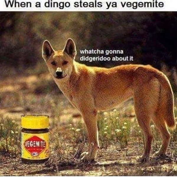 Thumbnail of p-brmaa7hbnzr-1c1ff10938fb4745 0