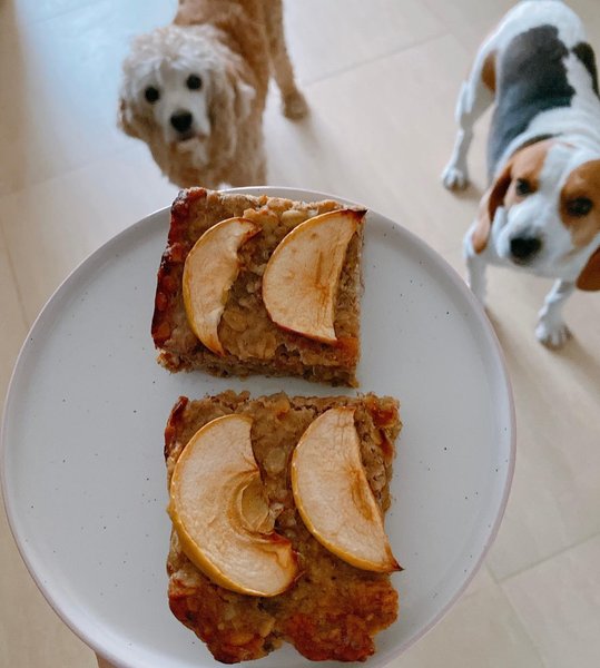 Thumbnail of p-cvltj2vofrm-1c29afc62a2c4c9a 5