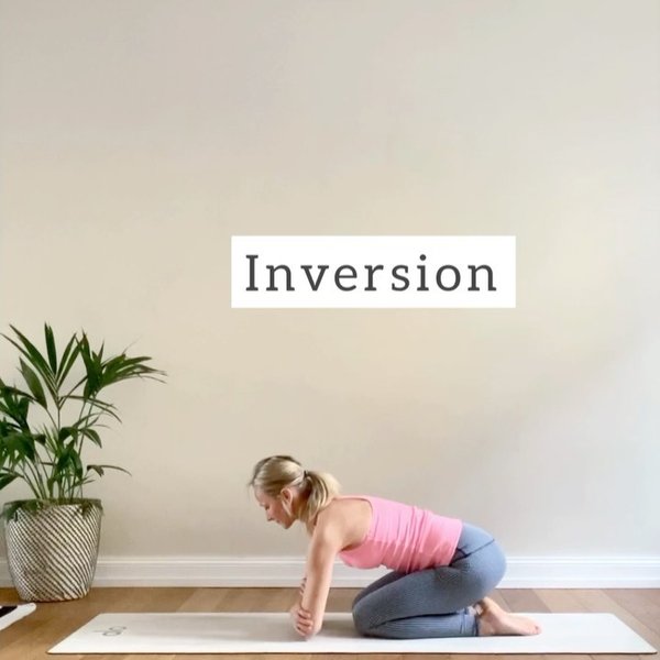 Thumbnail of chxij1cfa-r-1c45ecebac624870 8