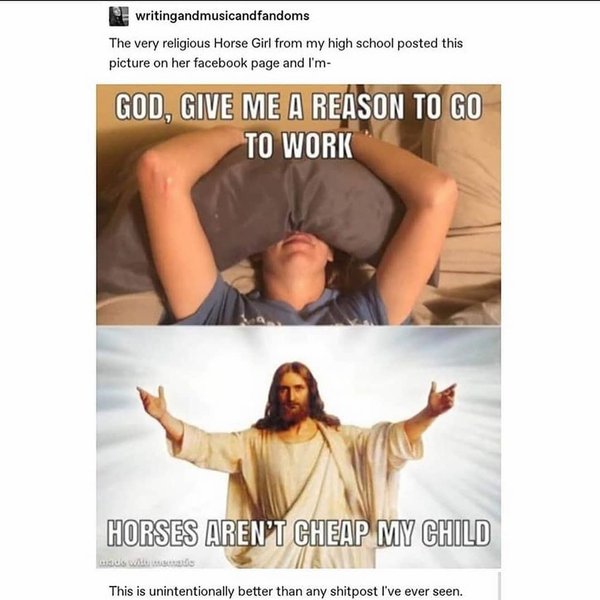 Thumbnail of p-b9dm1vhh6xu-1c5361595ad644af 0