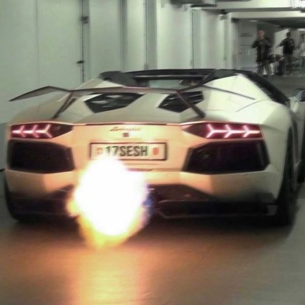 Thumbnail of p-dkydpgqxssn-1c587f5a581b4c73 1