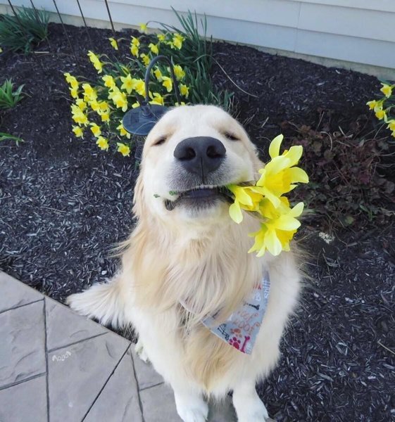 Thumbnail of p-biq0ef5aplj-1c7c671645f34d26 0